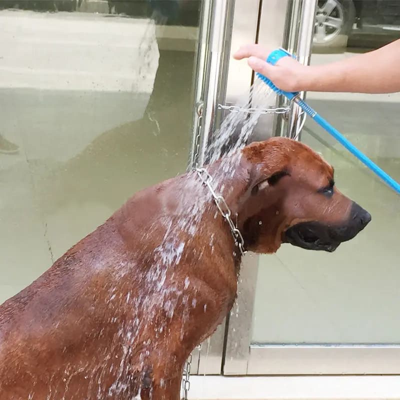Soffione doccia professionale per cani: spruzzatore per massaggi e strumento ergonomico per il bagno di animali domestici - Ugello regolabile a risparmio idrico per una facile toelettatura,
