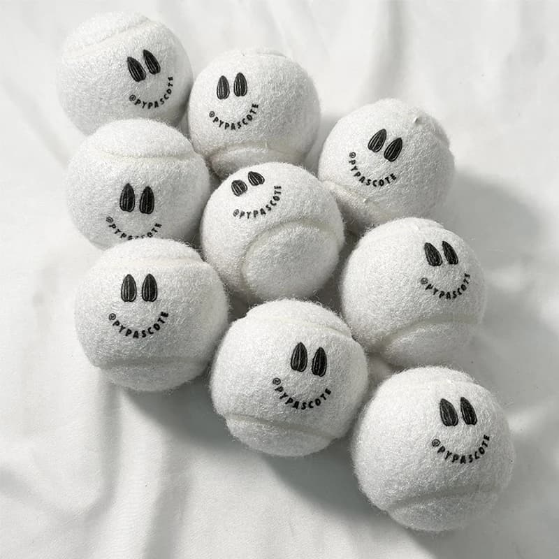 Le palline da tennis sono utilizzate per l'allenamento di animali domestici, le tour, le feste, gli eventi su larga scala, i giocattoli, i giochi, personalizzate con il logo stampato