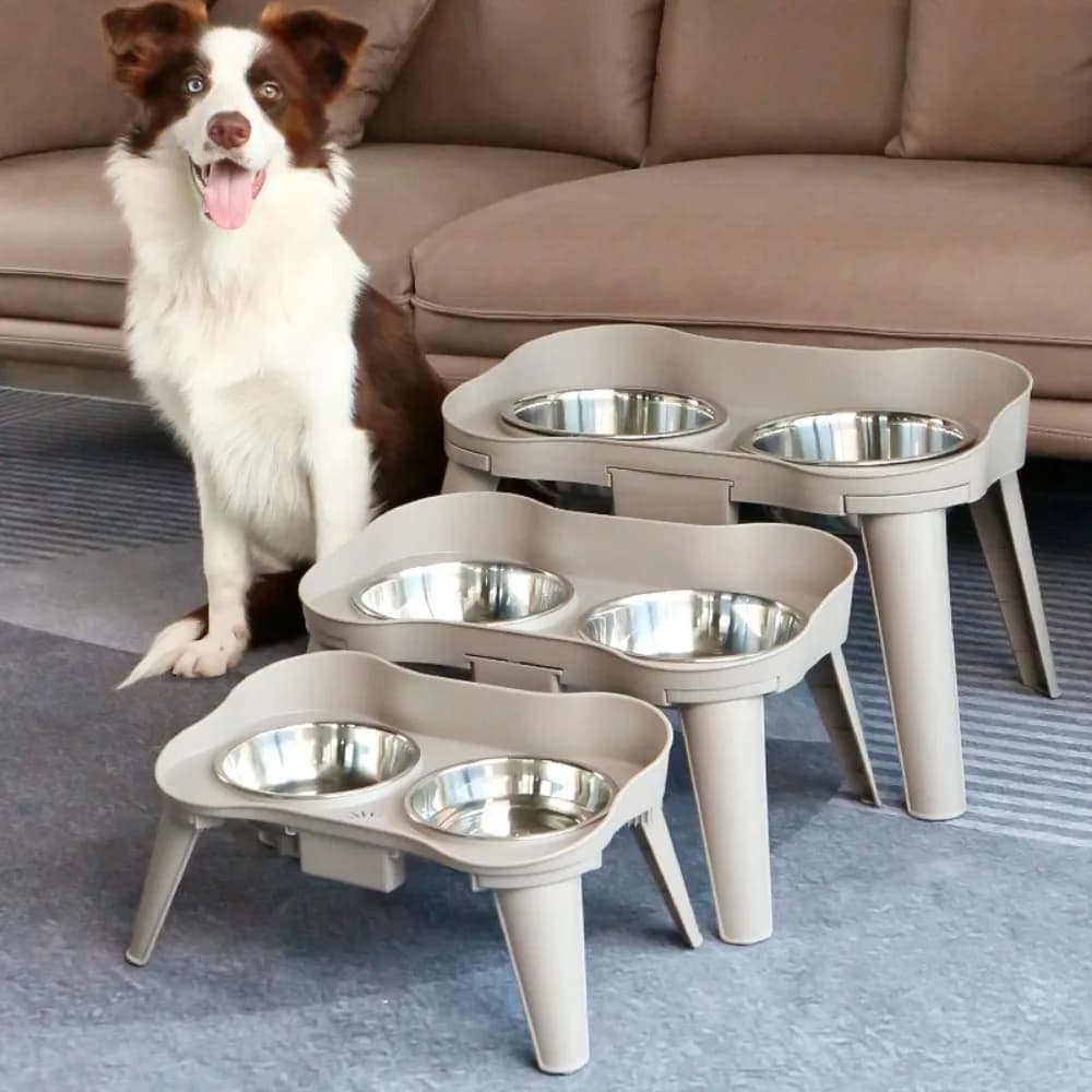 Ciotole per cani e gatti in acciaio inossidabile Ciotole antiscivolo per alimenti per gatti con gambe alte Ciotole doppie Prodotti durevoli per animali domestici