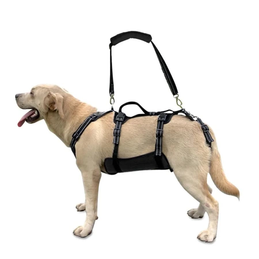 Imbracatura di sollevamento per cani, supporto e recupero, gilet di sollevamento per riabilitazione animali domestici, con cinghie regolabili e traspiranti per cani anziani o con problemi articolari