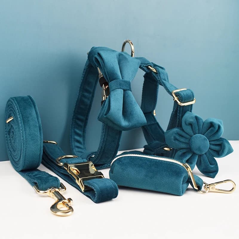 Set di collare e guinzaglio per cani in velluto verde lime, con targhetta incisa personalizzata, accessori per animali domestici, guinzaglio per cani Velvet30