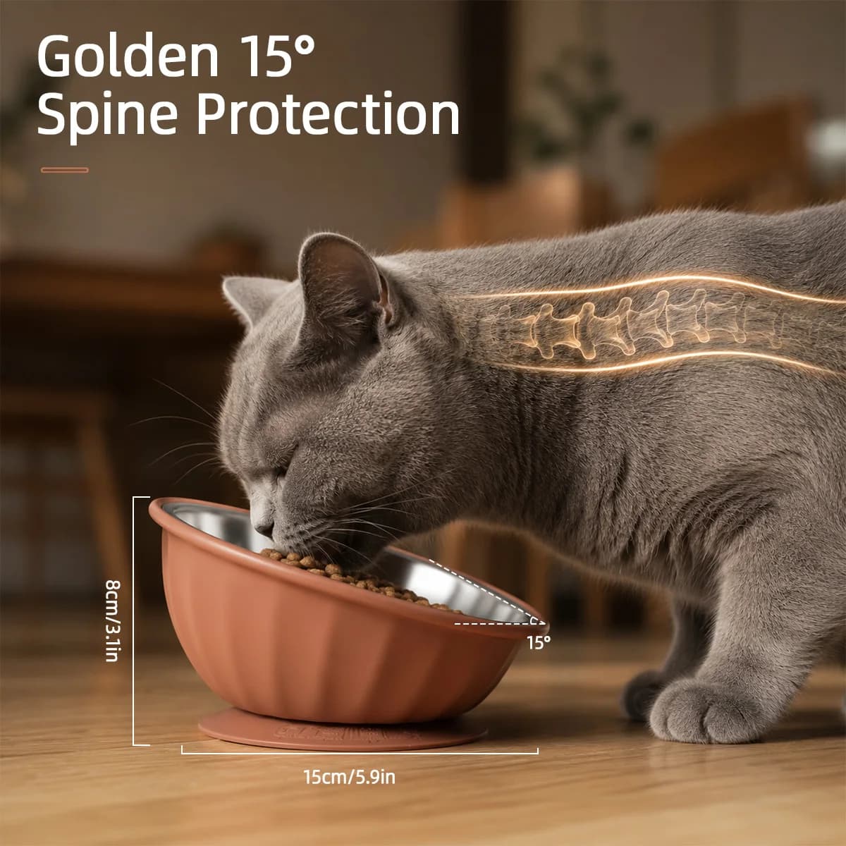 Detachable Stainless Steel Silicone Pet Bowl Anti-Tip Suction Non-Slip Slow Feed Dog Cat Food Water Bowl Easy Clean Feeder Bowl