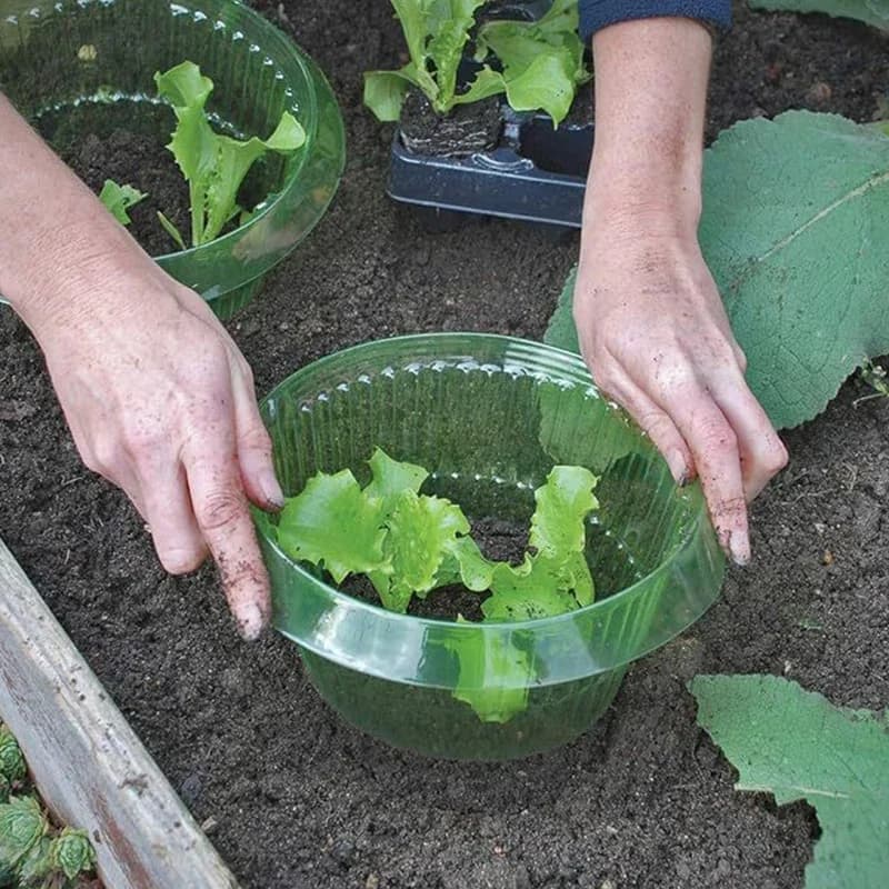 20/10 pcs/set pots for plants snail collars limaca plant protection vegetables cover reusable protection of agricultural plants saves water