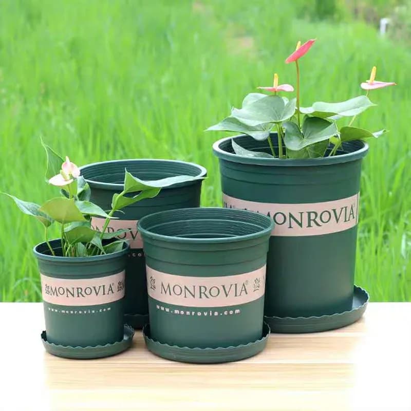 Thick Plastic Galon Flower Pot Resin Tabletop Balcony Planting Potted Plants Controlled Root Short And Fat Green Ivy