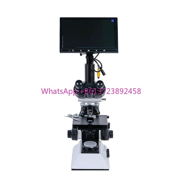 Ysenmed YSXWJ-CX80 Attrezzatura da laboratorio economica Monitor con schermo LCD da 7 pollici Microscopio binoculare digitale con fotocamera digitale Prezzo