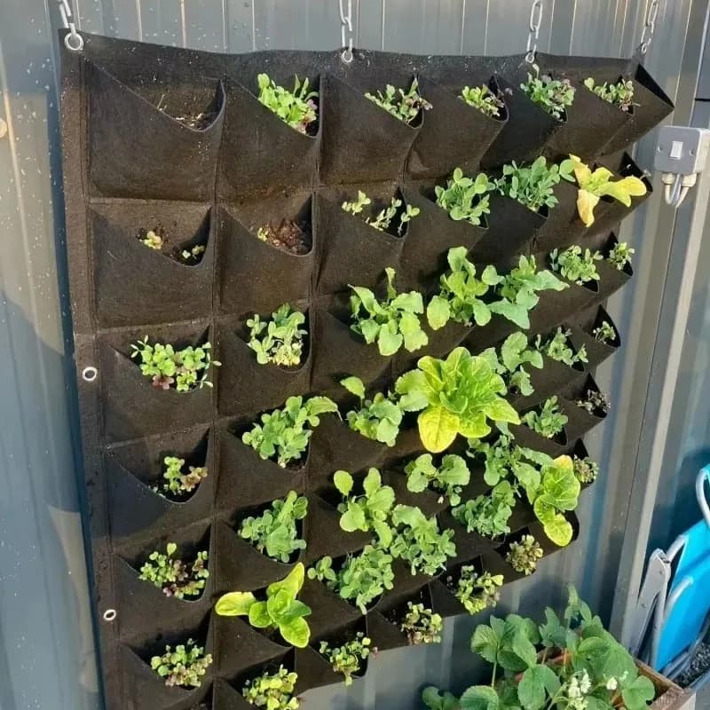Garden Planter Suspended Vertical Green Multi-task Jars for Fruit and Vegetables Wall Mount Bags for Suspended Growing Plants