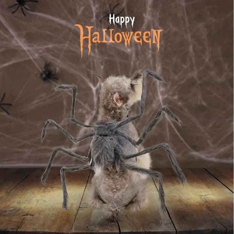Costume da ragno per animali domestici di Halloween, costume da trasformazione per cani e gatti, divertente fornitura di vestiti cosplay