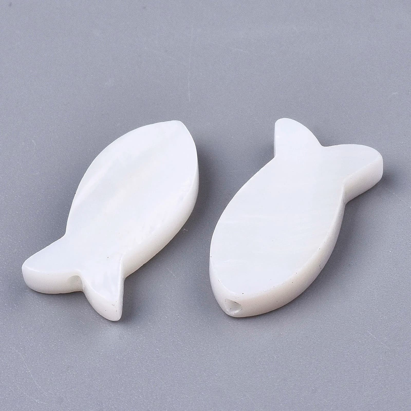 5~20 pz Perline di Conchiglia Naturale d'Acqua Dolce, Perline a Forma di Conchiglia di Pesce per Bracciali, Orecchini, Collane, Creazione di Gioielli, Artigianato, Decorazioni e Ornamenti