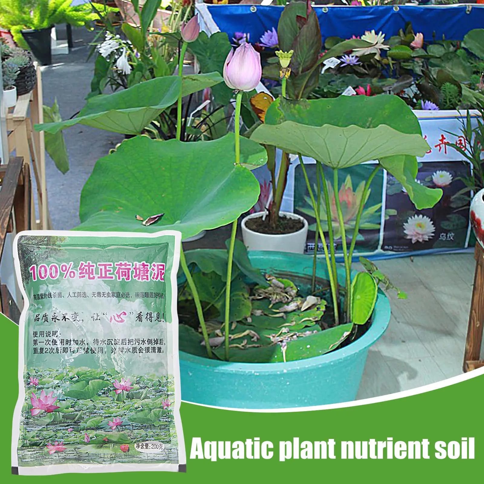 Terriccio Nutriente per Laghetti Acquatici, Substrato Speciale per la Coltivazione di Loto e Piante Acquatiche, Base Nutritiva Ideale per la Coltivazione di Semi