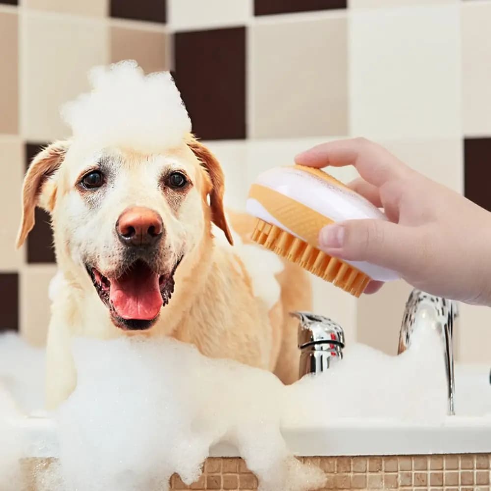 Spazzola per il bagno del cane con dispenser di shampoo, pettine 2 in 1 in silicone per massaggio gatto, spazzola doccia silenziosa e portatile per la toelettatura degli animali domestici