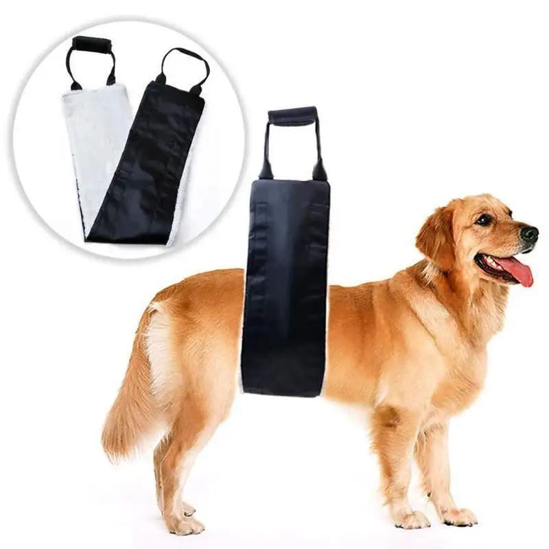 G6KF Pet Riabilitazione del Legamento Crociato Imbracatura per Cani Portatile per Gambe Posteriori Artrite Imbracatura per