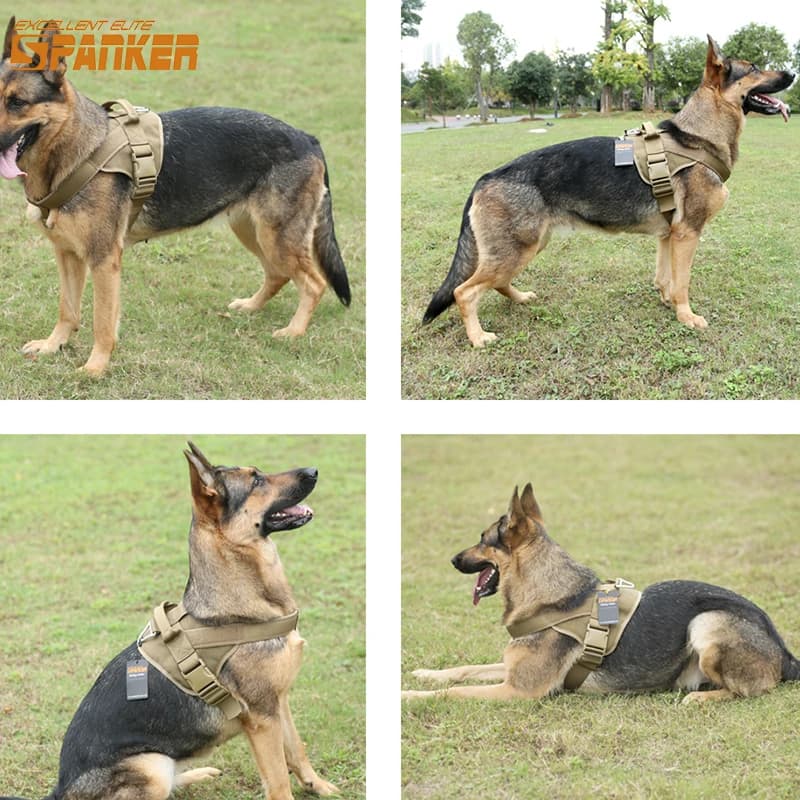 Pettorina tattica per cani pettorina per addestramento di cani di grandi dimensioni pettorina per pettorina per animali domestici pettorina per cani con manico