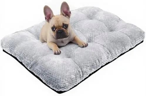 Cuccia Lavabile per Cani - Tappetino Antiscivolo in Peluche per Gabbie, per Cani e Gatti di Taglia Grande, Media e Piccola (Grigio, 65x50 cm)