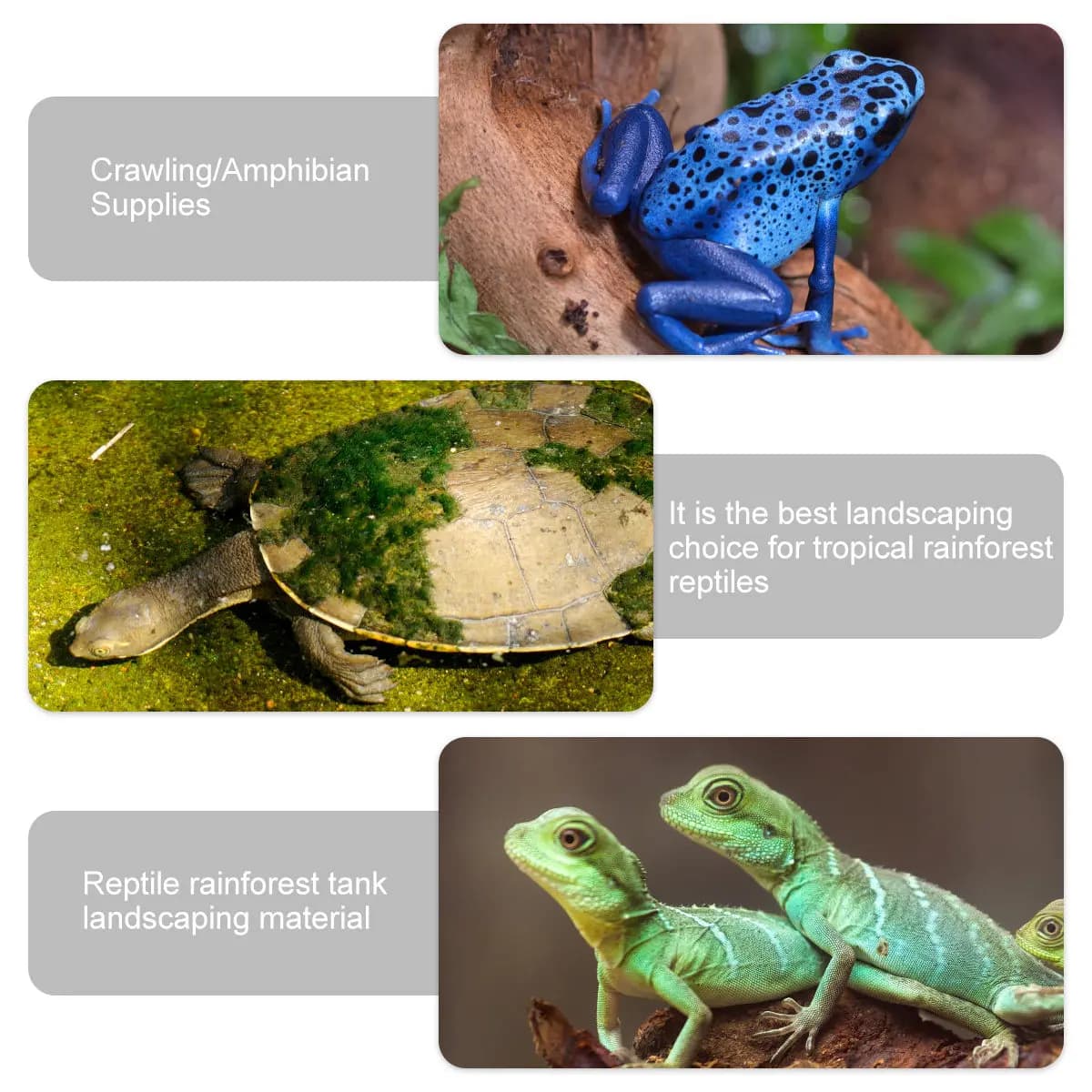 8 Pezzi Piante Rampicanti Artificiali per Terrari, Viti a Spirale Pieghevoli con Ventose per Decorazione Habitat Animali Domestici