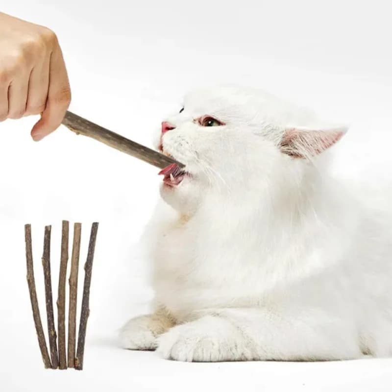 10/15/20 pz/lotto Bastoncini di Erba Gatta per Gatti, Giocattoli Molari Naturali in Legno di Polygonum per la Pulizia dei Denti, Allevia la Noia, Snack da Masticare