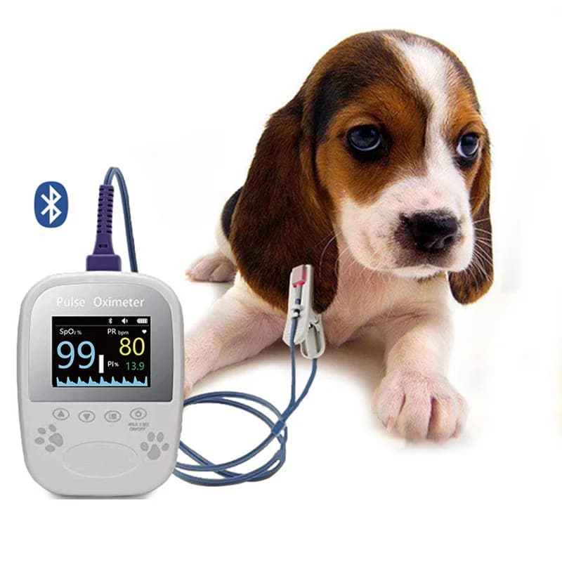 Handheld Pulse Oximeter bluetooth APP Report PR PI 3 SPO2 Sensors Pulse Oximeters Monitor