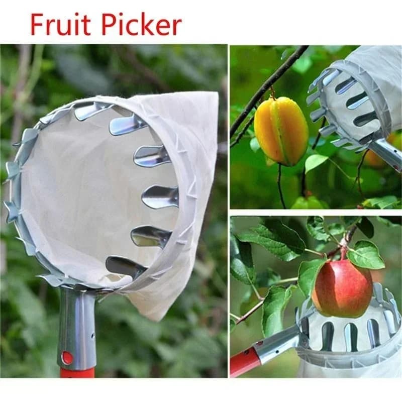 Raccoglitrice di frutta da giardino, strumento telescopico per la raccolta di frutta Forbici manuali per la raccolta di frutta per il giardino adatte a varie frutti