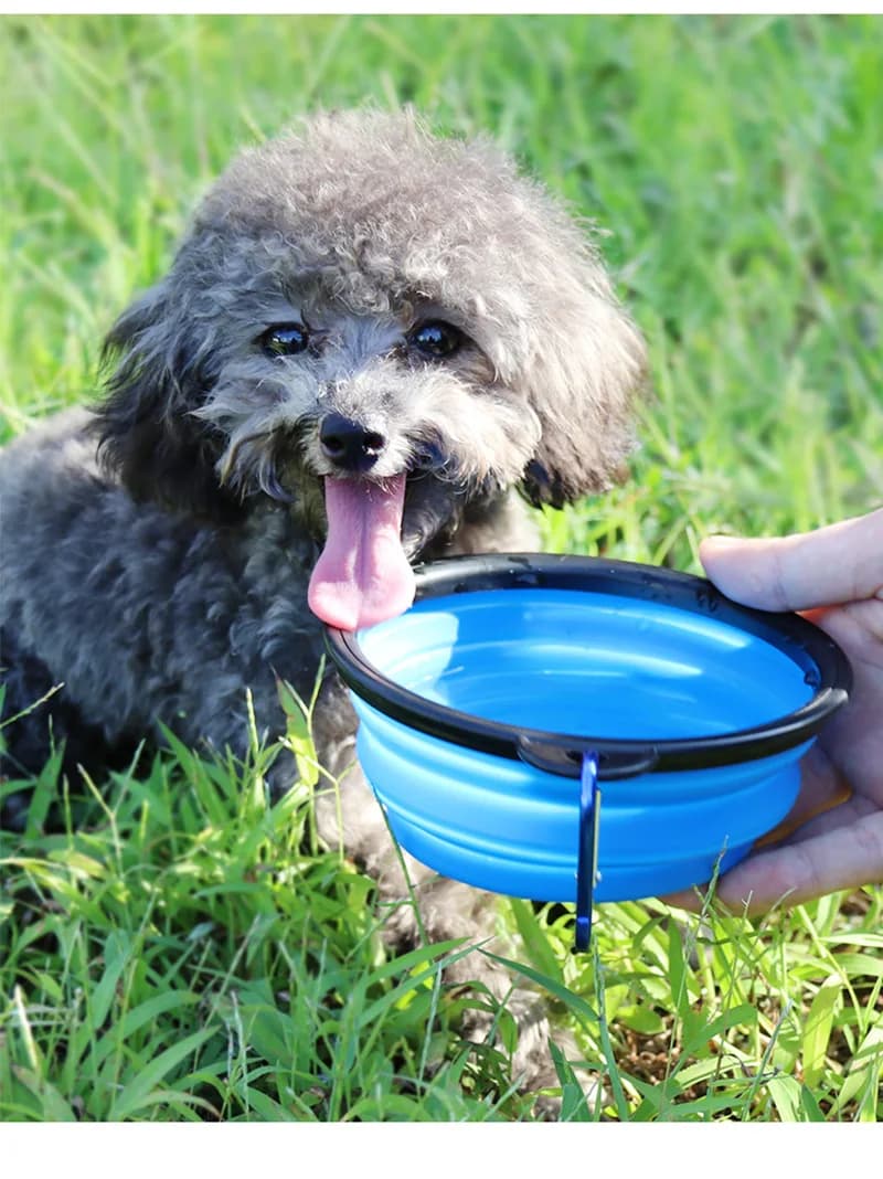 FEYA 1000ml Grande Pieghevole Per Cani Pet Pieghevole Ciotola In Silicone Da Viaggio All'aperto Portatile Cucciolo Contenitore di Alimenti Alimentatore Piatto Ciotola