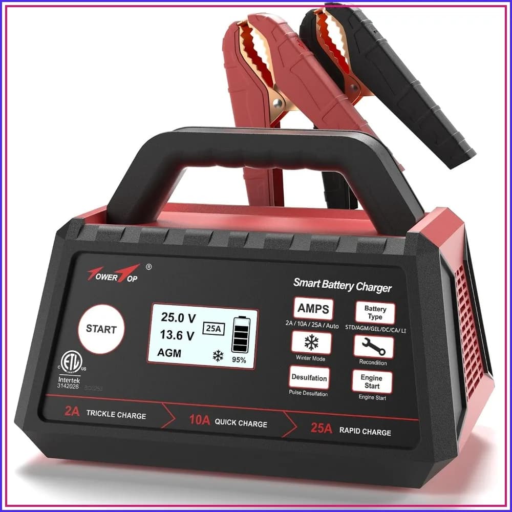 12V 2/10/25A Smart Car Battery Charger, Fully Automatic Maintainer with Engine Start, Desulfator, Winter Mode for AGM/Gel/Deep Cycle Batteries