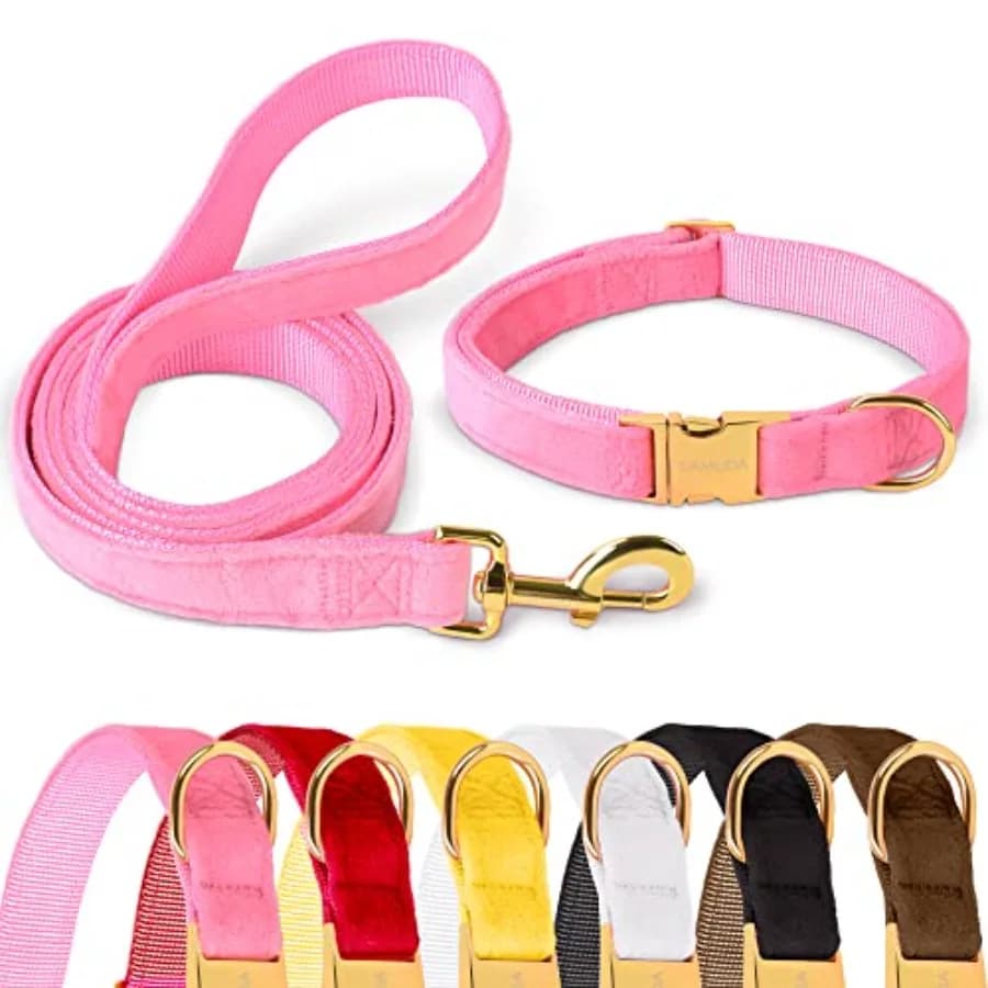 Velvet Dog Collar and Leash, Super Soft and Smooth, Heavy Duty Gold Buckle, Comfortable and Easy to Clean, Adjustable Collar fo
