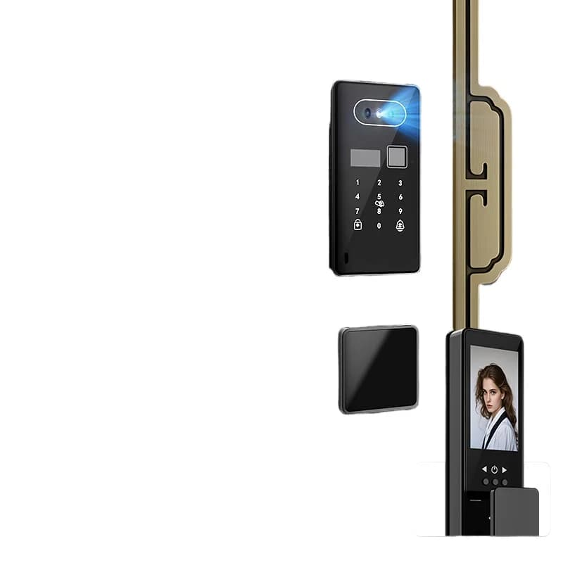 Serratura Intelligente Integrata per Porte Residenziali, Chiusura con Password per Ville, Porte Doppie, Ingresso Principale con Impronta Digitale
