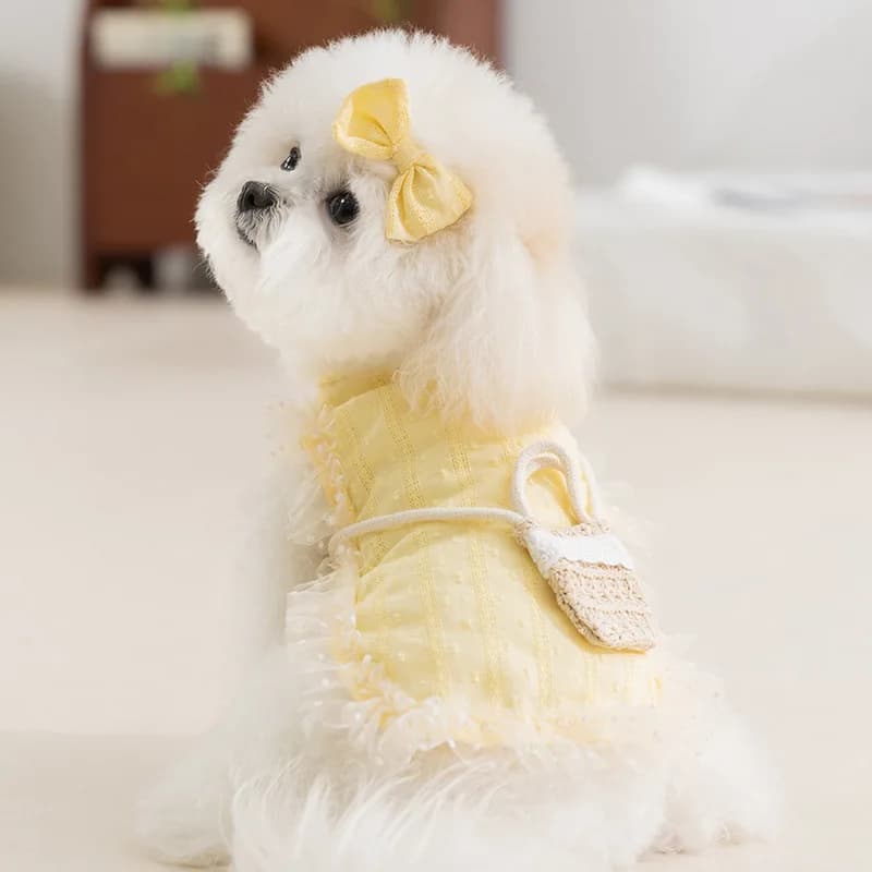 Abito con imbracatura per animali domestici in pizzo floreale primavera-estate - Simpatico gilet a tracolla