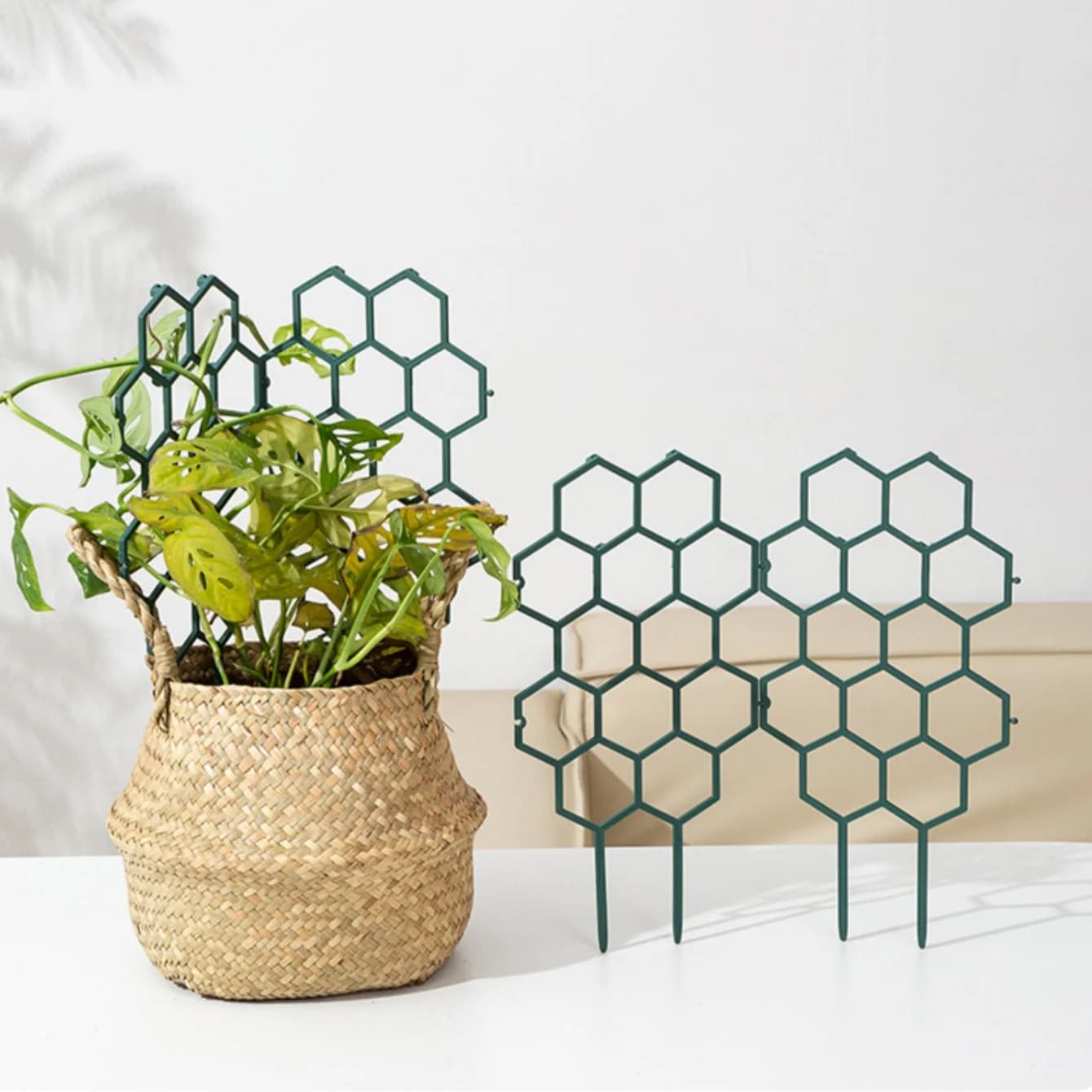 Honeycomb Design Plant Trellis Plastic Climbing Frame Indoor Outdoor Garden Support Stake for Potted Vines Flowers Growth