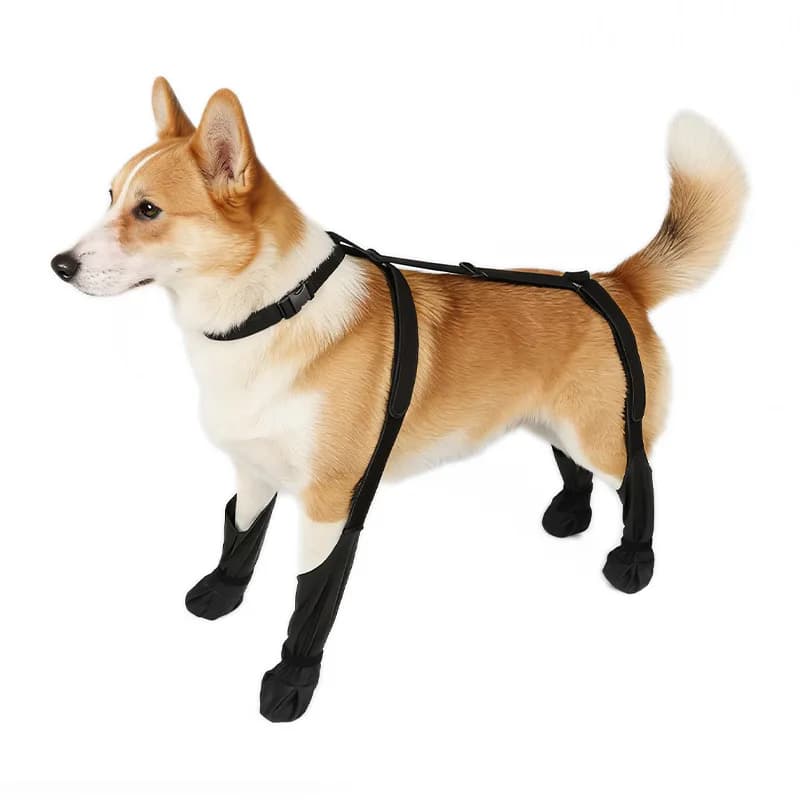 Protezione per Ginocchio e Patella del Cane, Ausilio per la Riabilitazione delle Articolazioni, Protezione da Distorsioni e Lesioni, Scarpe Impermeabili e Antipolvere per Animali Domestici
