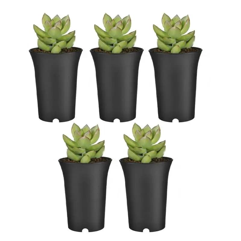 5pcs 9*12cm plant succulent jar for nursery plastic jar thickening container for storage vessels of round seeds decorations for home garden