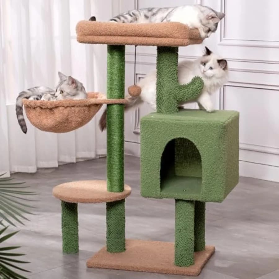 Cactus Cat Tree - Torre per Gatti Piccola con Tiragraffi da 32 Pollici, Cuccia per Gatti, Amaca Accogliente e Letto Superiore Rimovibile e Dan
