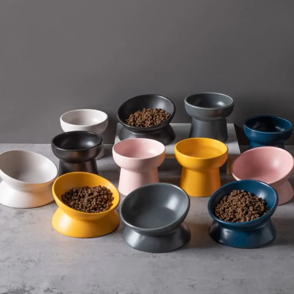 Nuova ciotola per gatti rialzata in ceramica Ciotole per acqua per animali domestici in tinta unita rialzate Ciotola per cibo per cani inclinata di grande diametro Accessori per gatti