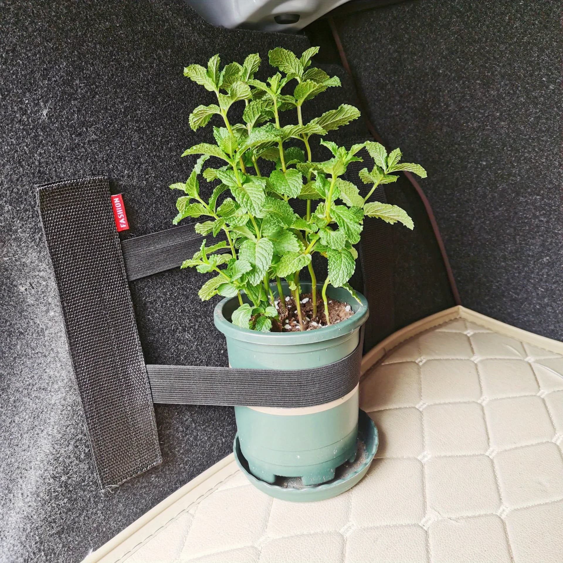 Cinghia elastica multifunzionale per bagagliaio auto, cinghia di fissaggio per oggetti vari con Velcro, resistente.