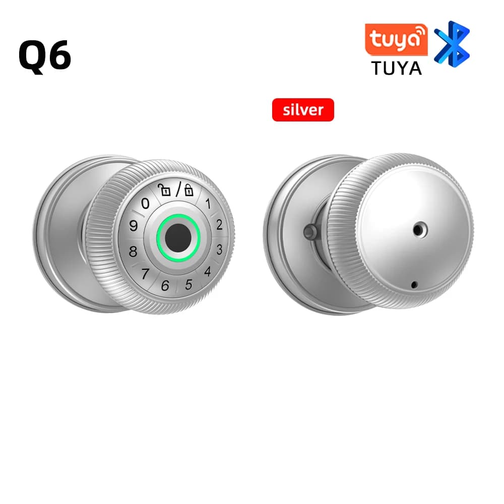 RAYKUBE Q6 Serratura Intelligente con Impronta Digitale Tuya BLE, Serratura Elettronica con Password/Chiave/App Smartlife/Tuya per Camera da Letto, Spedizione dagli USA