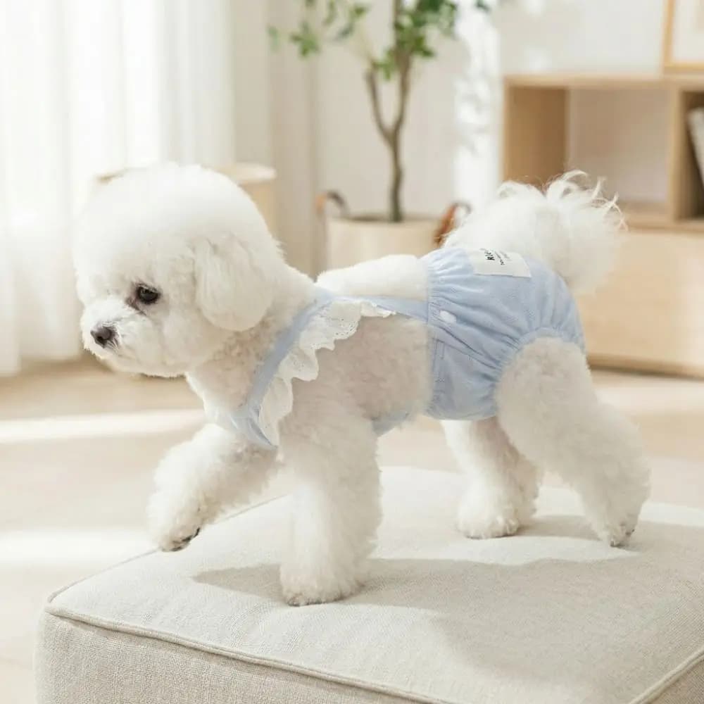Pantaloni Fisiologici per Cani Stile Bretelle alla Moda, Tuta Regolabile e Traspirante per Animali Domestici, Pantaloncini Lavabili per Cagnoline in Ciclo di Riscaldamento
