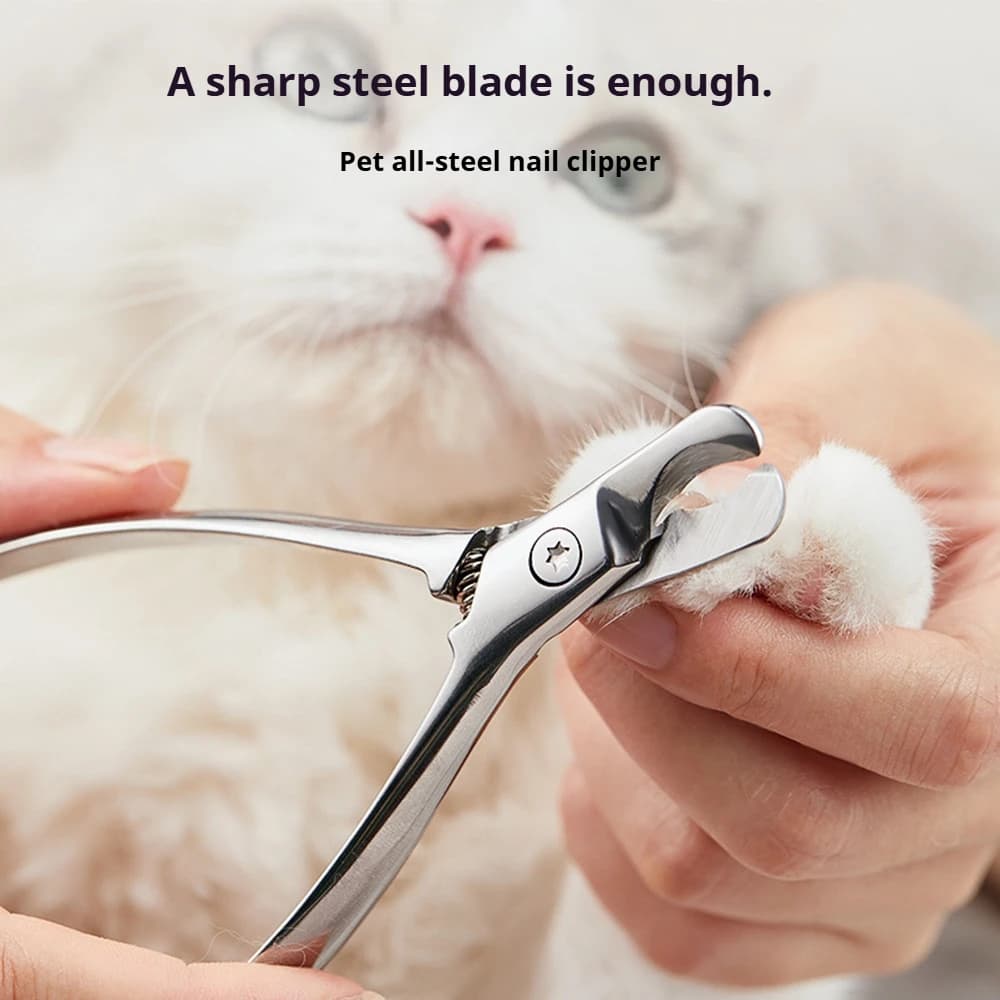 Tagliaunghie professionale per animali domestici Tagliaunghie affilato per toelettatura di animali di sicurezza Tagliaunghie per cani e gatti in acciaio inossidabile