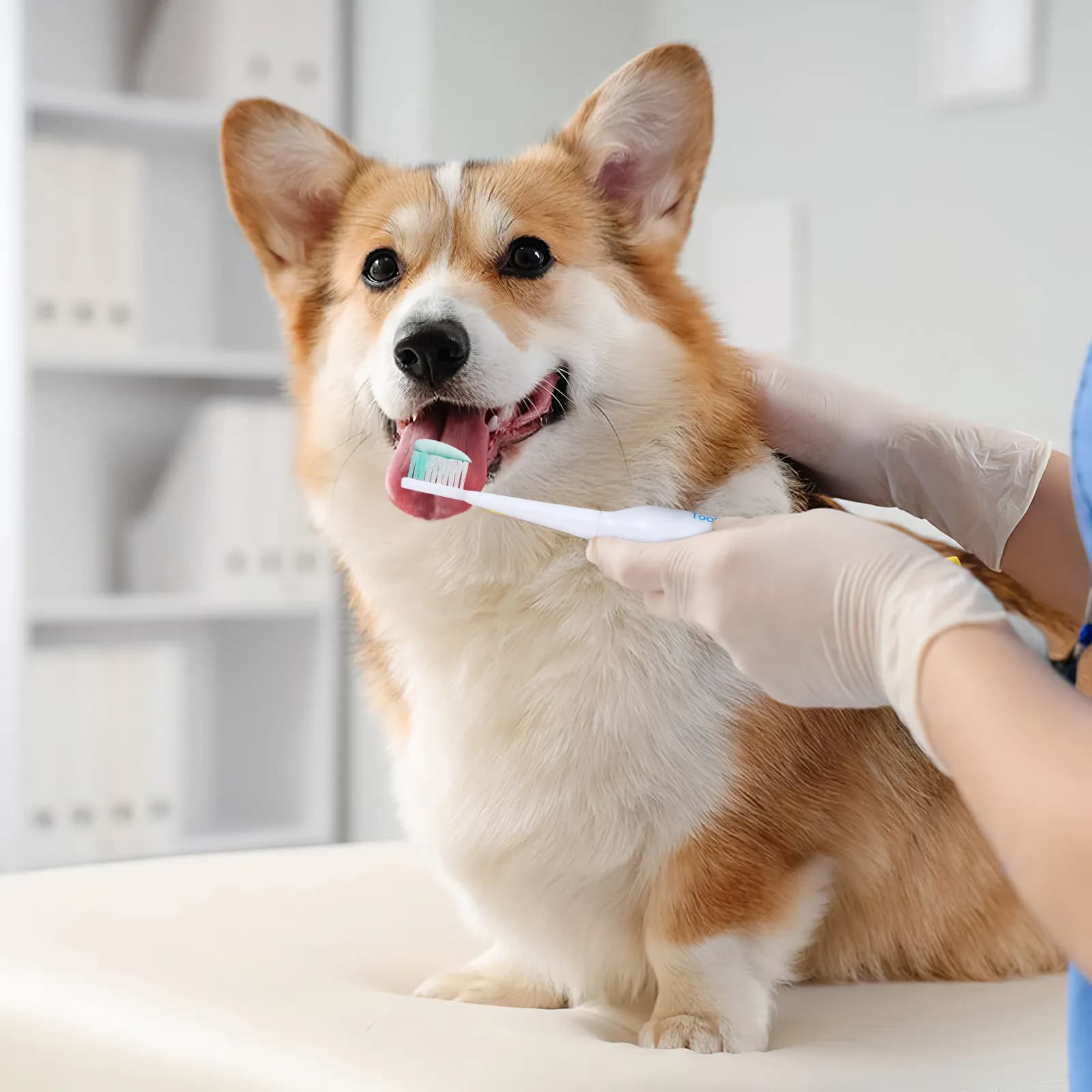 1 pet electric toothbrush, effective for full, lightweight and portable cleaning, safe for travel, delicate on the skin