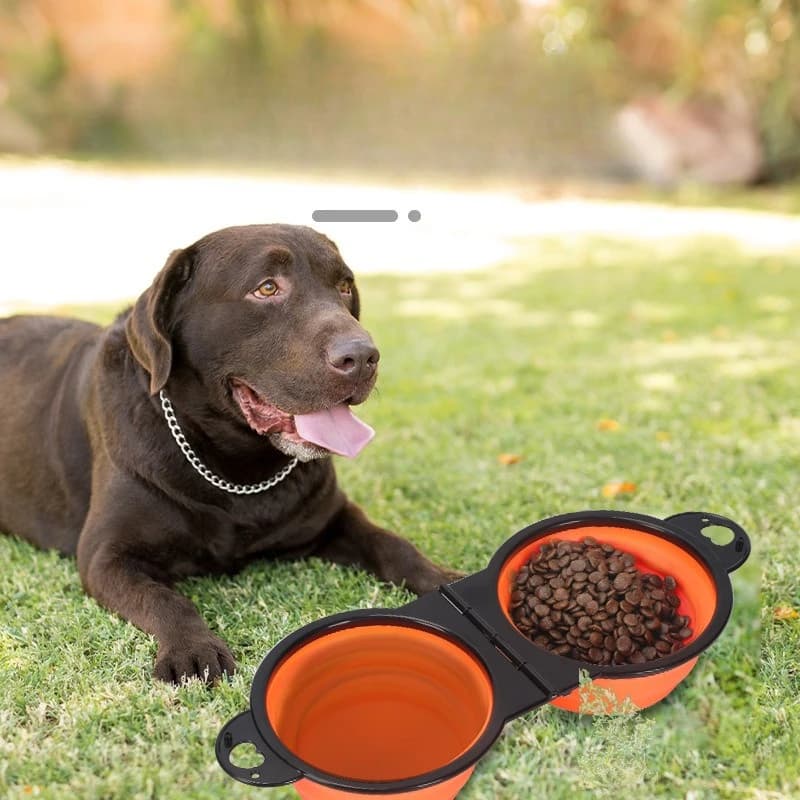 Double Foldable Pet Bowl Dogs Cats Dual-purpose Food Water Anti-choke Silicone Outdoor Walking Travel Small Medium Pets Integrated Design