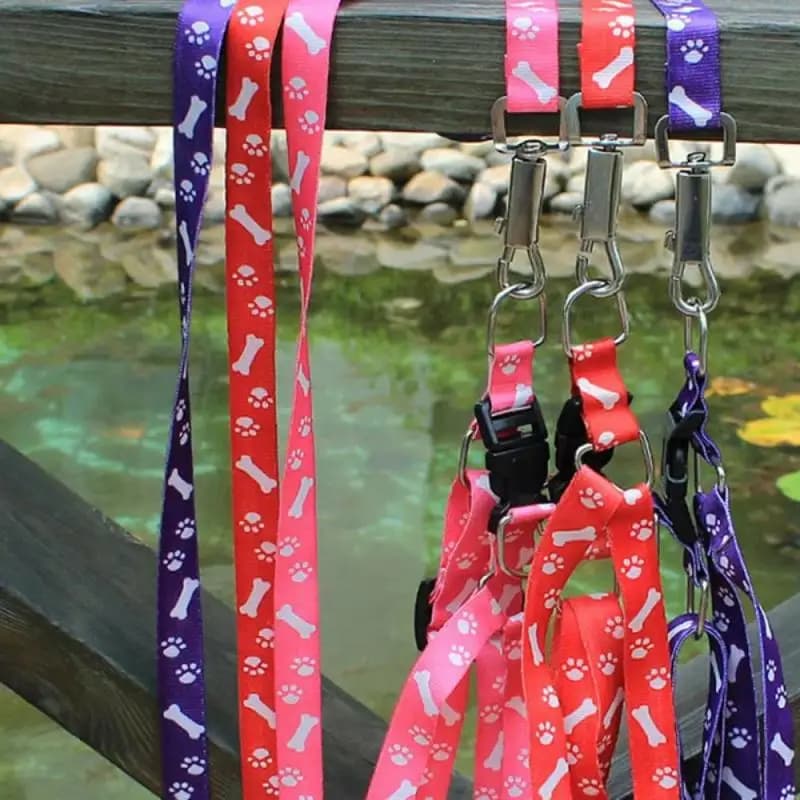 New Fashion Cartoon Cute Bone Printed Pet Harness Leash Adjustable Neck Dog Accessories For Small Medium Dogs Leash Pet Supplies