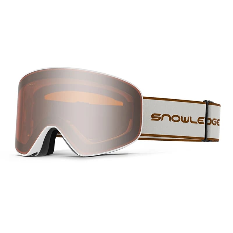 UV400 Double Layer Anti-Fog Anti-scratch Ski Goggles For Adult