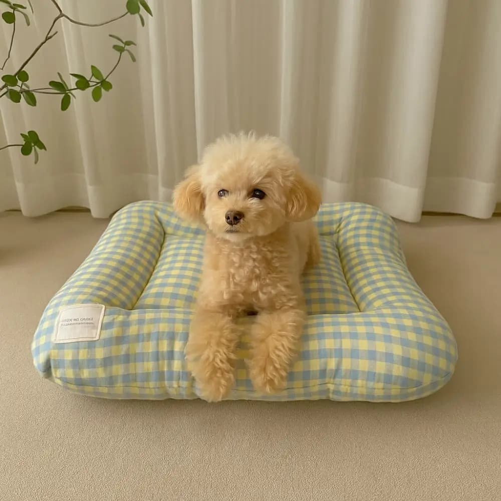 Cute Warm Dog Bed Pad Macaron Non-slip Pet Sleeping Bed Soft Comfortable Pet Mattresses for Cats and Dogs