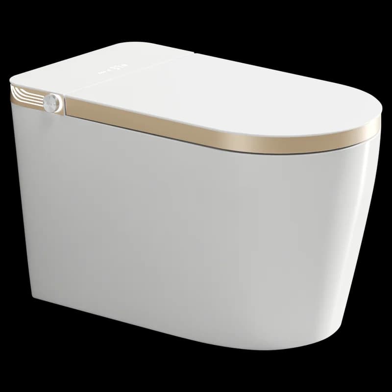 WC Smart Allungato Dorato con Telecomando e Sedile Riscaldato