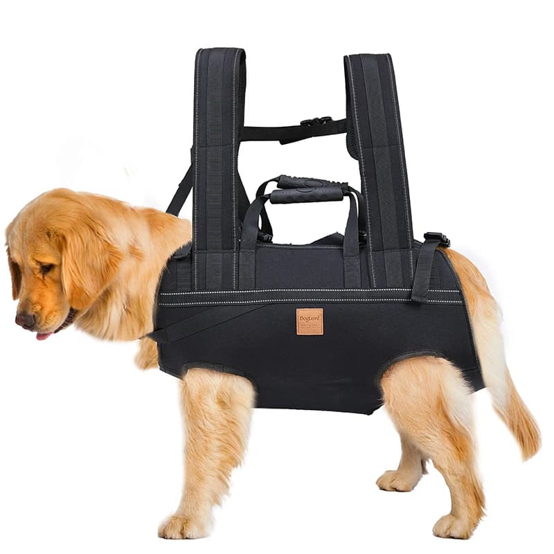 Zaino portatile di lusso con logo personalizzato, borsa da viaggio per cani con imbracatura per gatti, per bici da esterno, ventilata e traspirante