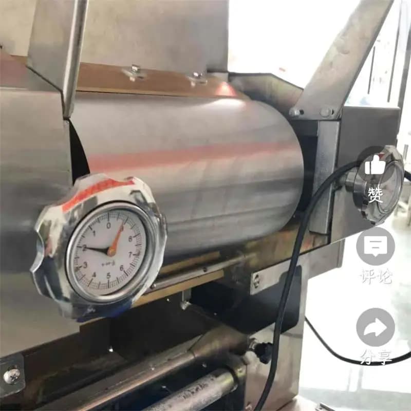 Macchina per pasta elettrica per noodle Macchina per fare noodle con pressatura automatica multifunzione 110V 220V