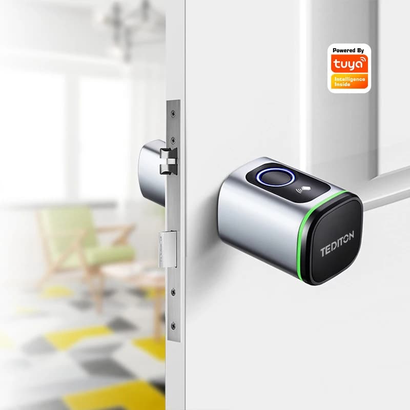 Tuya Wifi Smart Cylinder Door Lock Serratura biometrica per impronte digitali per appartamento Airbnb domestico