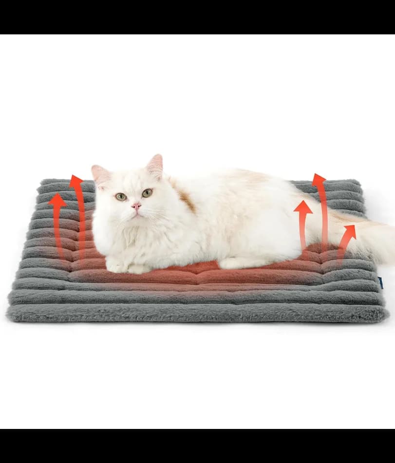 Tappetino per gatti autoriscaldante per piccoli gatti, tappetino per cassa per cani autoriscaldante Tappetino termico extra caldo per cuccioli per interni ed esterni antiscivolo e lavabile