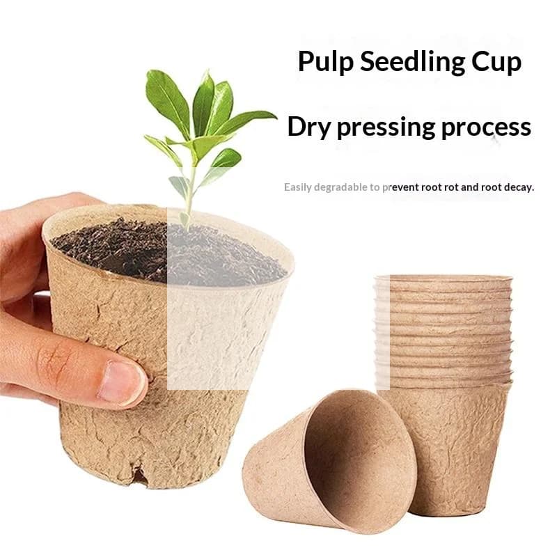 Vasi per Semina 120 pz in Polpa Biodegradabile, Eco-Friendly e Traspiranti per la Crescita di Fiori e Verdure da Interno ed Esterno