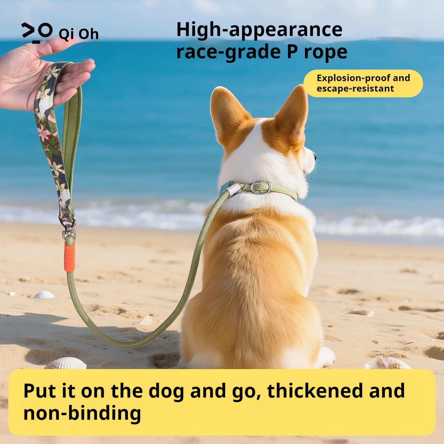 P Rope Dog Leash for Small Dogs Out Walking Chain Explosion-proof Impact Knotted Pet Leash Cross Body Wearable Dog Leash