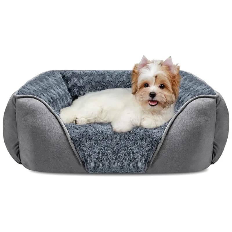 Esplosione di vendite su Amazon per lettiera per animali domestici Temu, lettiera per gatti, cuccia per cani di taglia piccola, media e grande