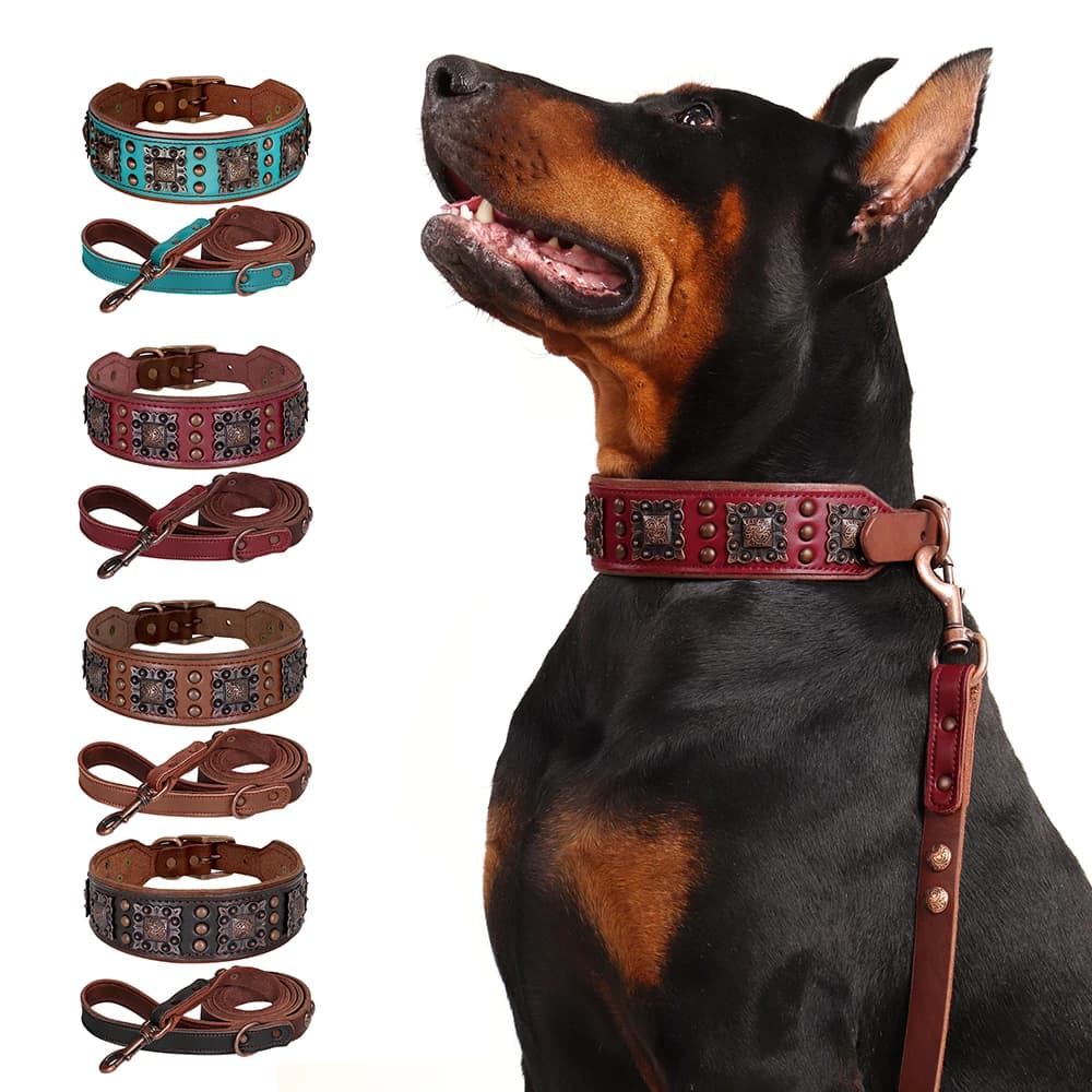 Set di guinzagli per collare per cani largo in vera pelle Collari per cani imbottiti durevoli Collana per animali domestici con rivetto in metallo di lusso con corda per cani Pitbull