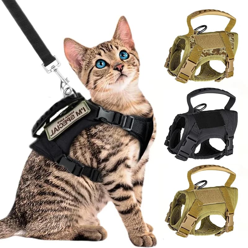 Imbracatura Tattica Anti-Fuga - Pettorina Regolabile in Morbida Rete per Gatti Grandi e Cani Piccoli, Attrezzatura per Addestramento e Lavoro